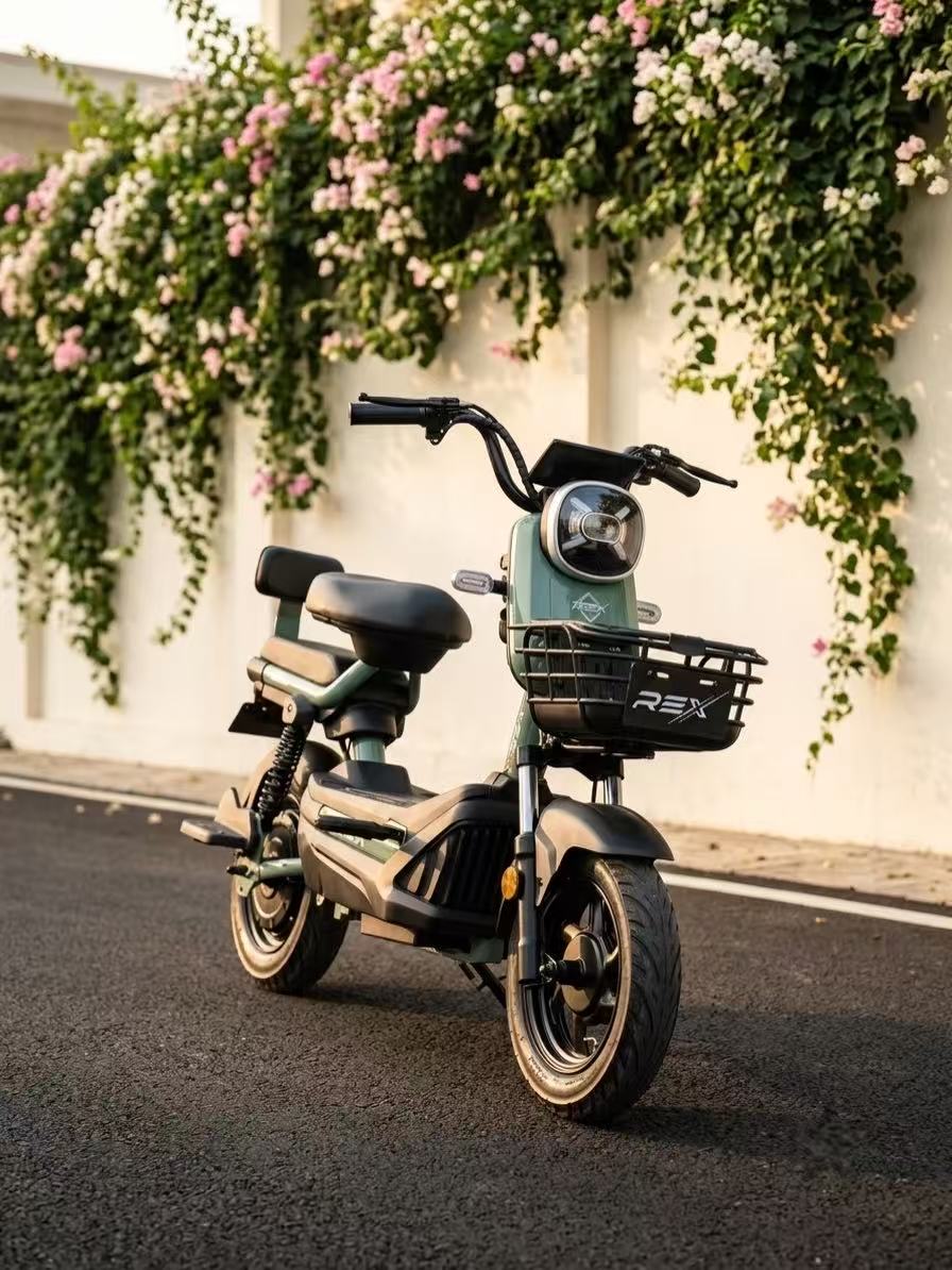 REX ROSA 500 W