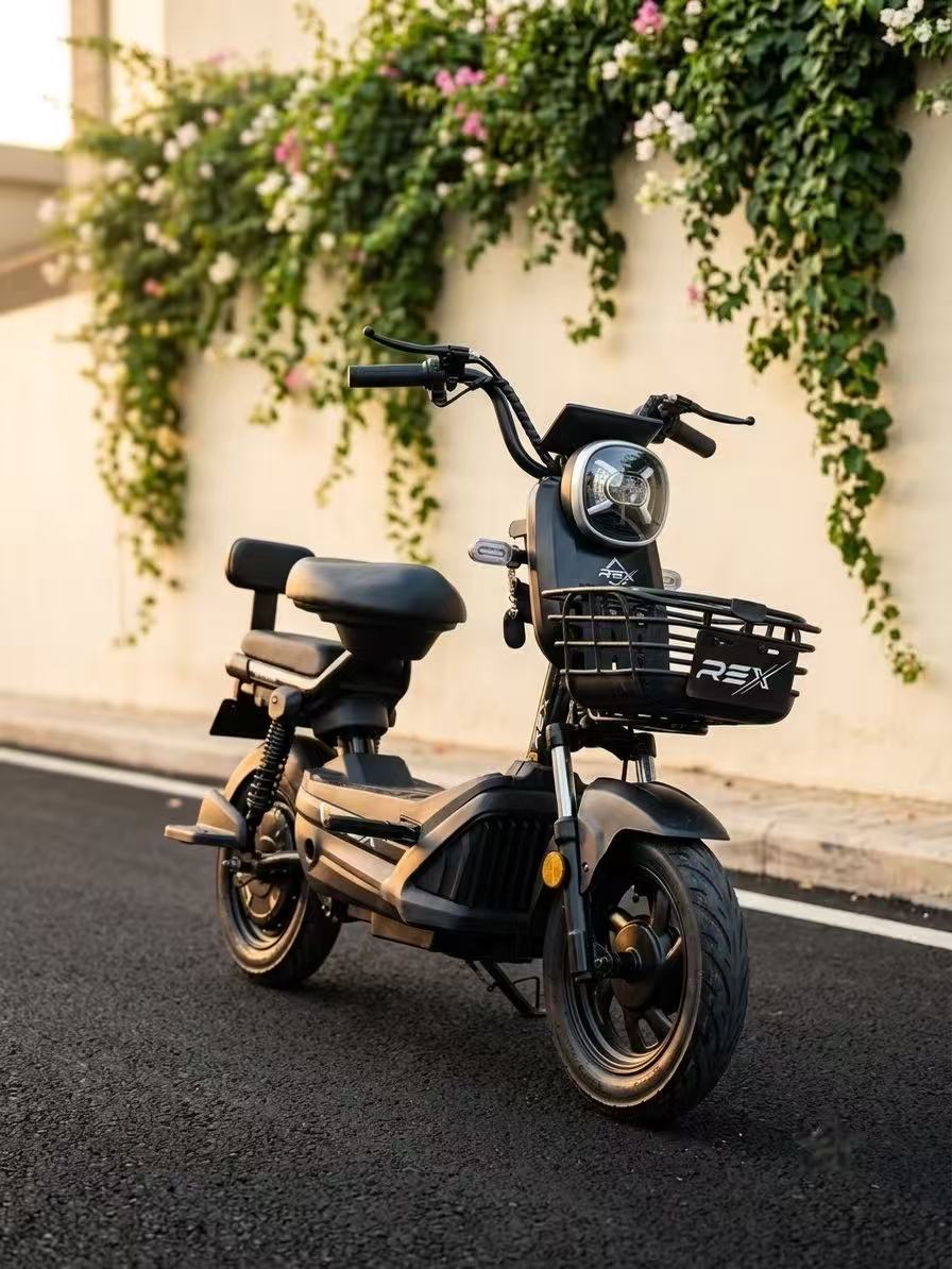 REX ROSA 500 W