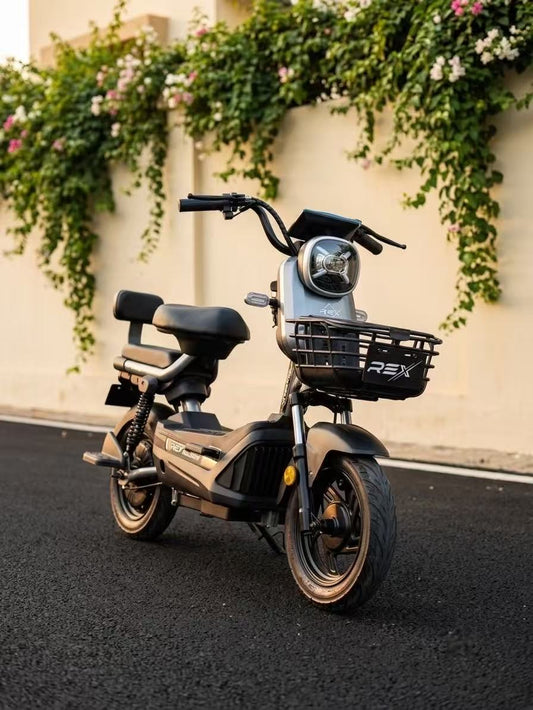 REX ROSA 500 W