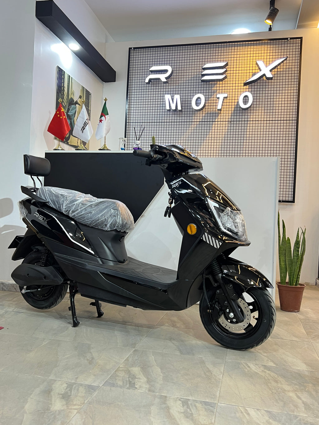REX Z-Line 1200W