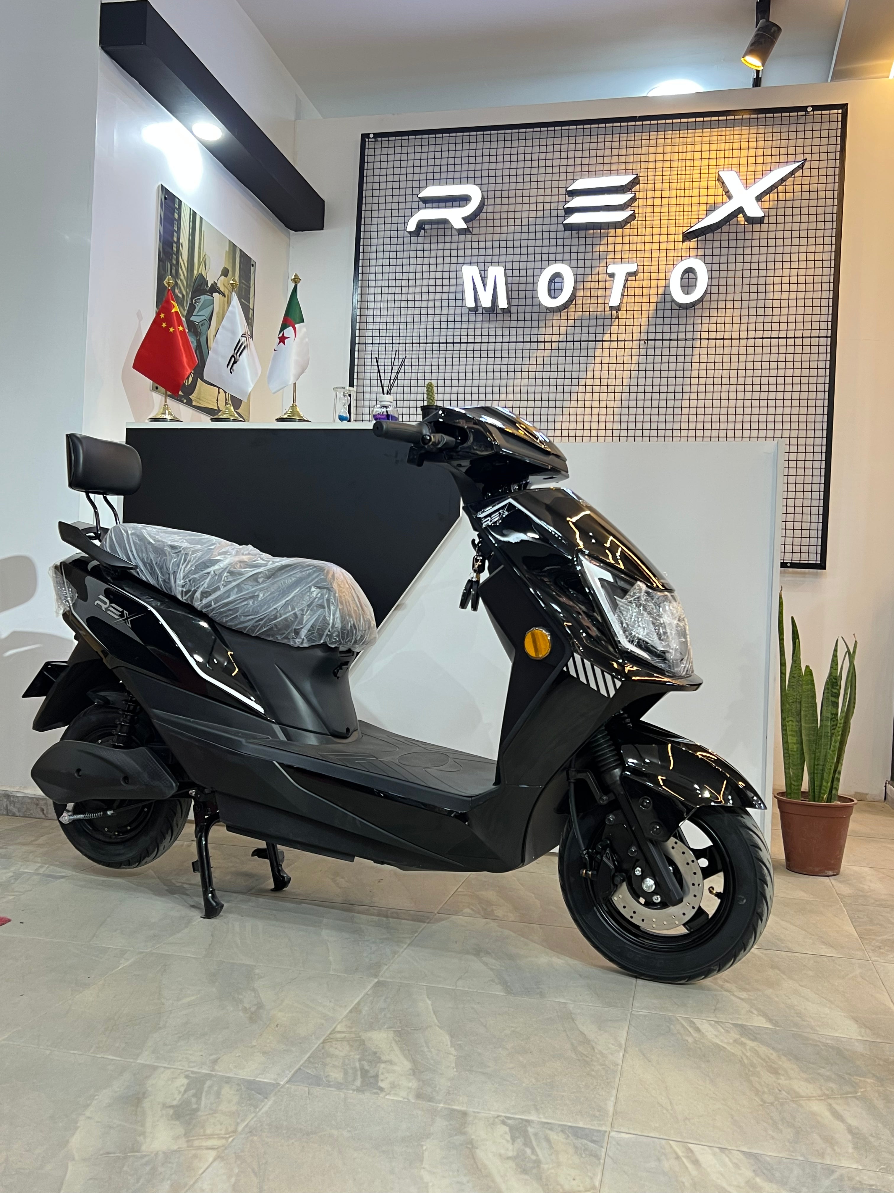 REX Z-Line 1200W