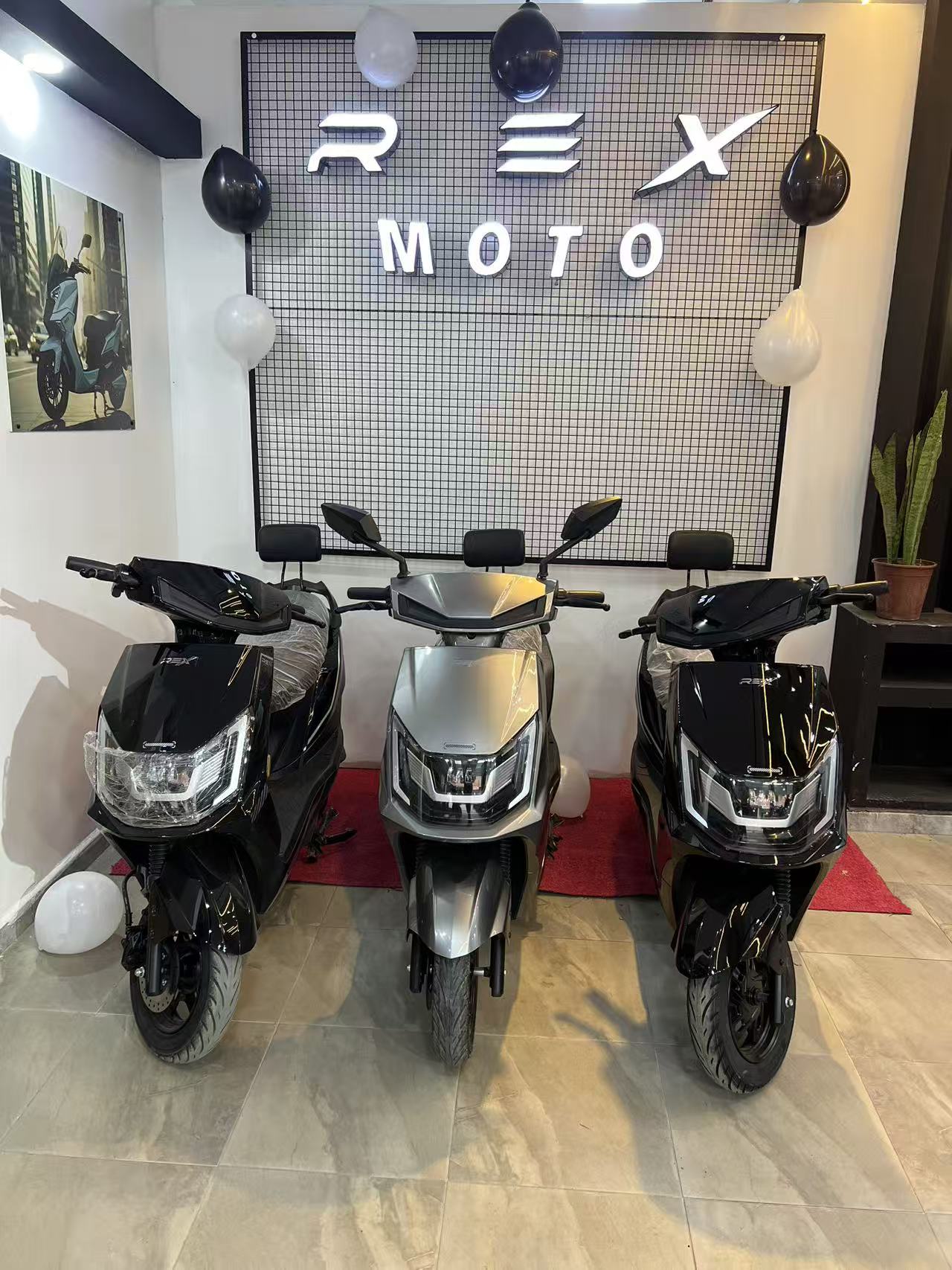 REX Z-LINE 1200 W